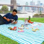 Extra Large Foldable Packable Picnic Blanket 200 x 200cm